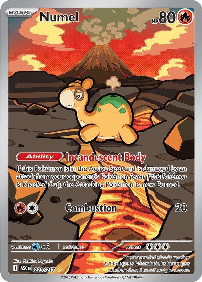 Numel (223/217) – Mega Evolution: Ascended Heroes | Fast Shipping