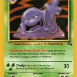 Muk (28/62) – Fossil Unlimited | Order Now